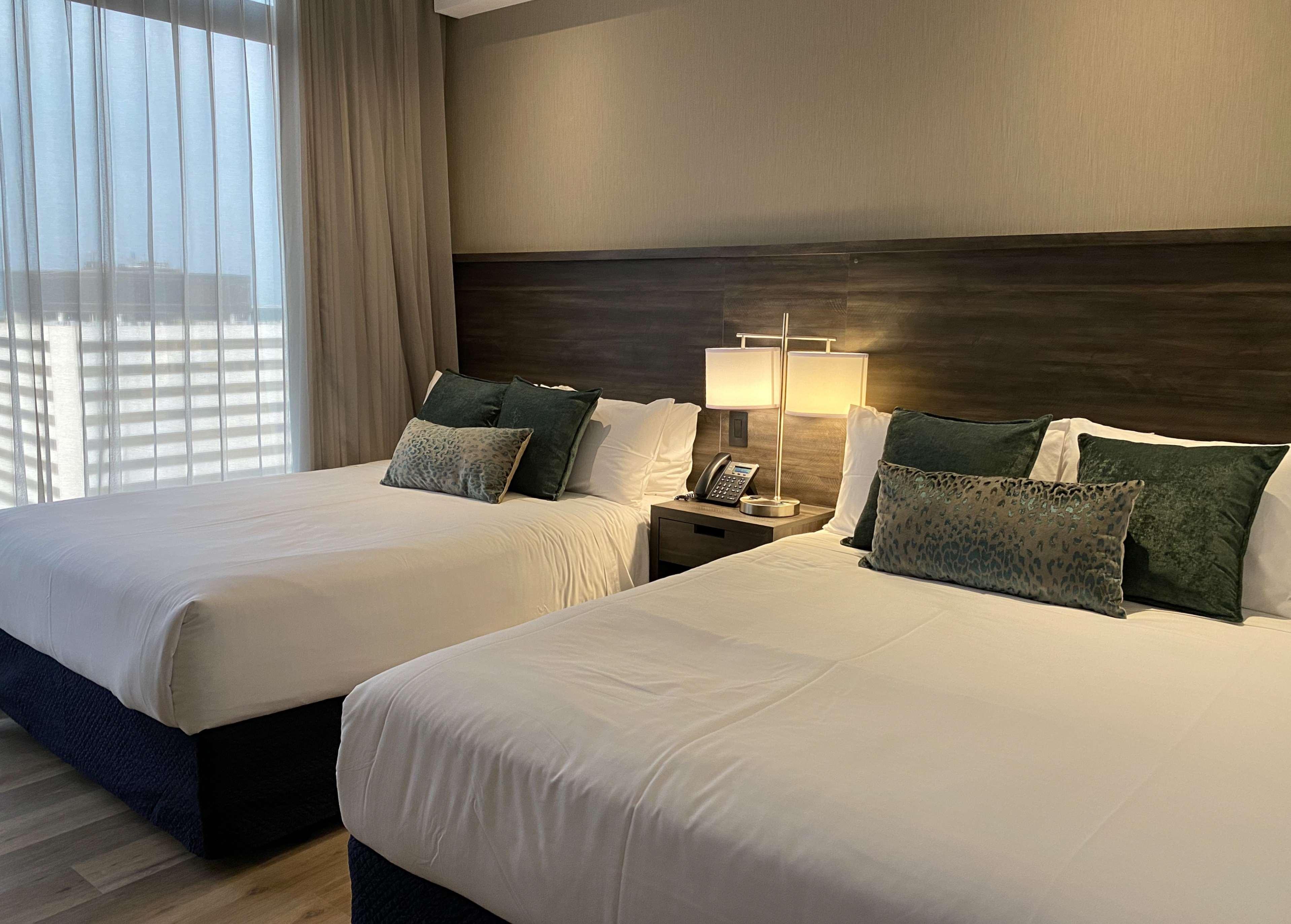 Wyndham Garden Guatemalaváros Kültér fotó A guest room at the Hilton Garden Inn in San Francisco